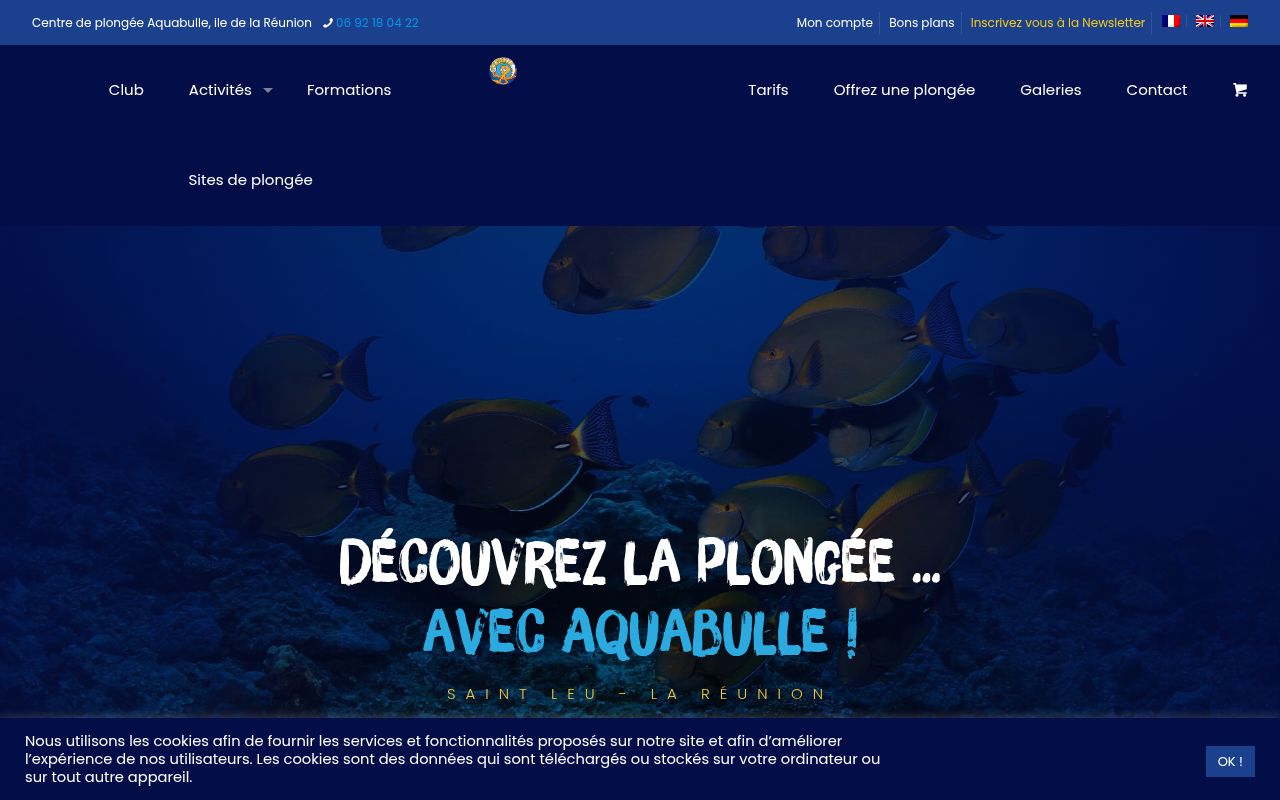 Capture de Plongée à La Réunion