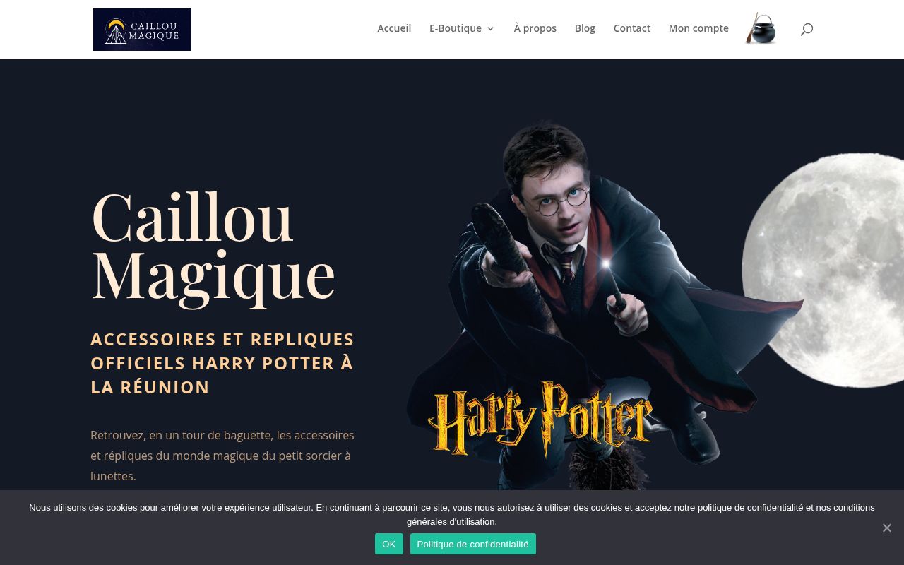 Capture de Caillou Magique