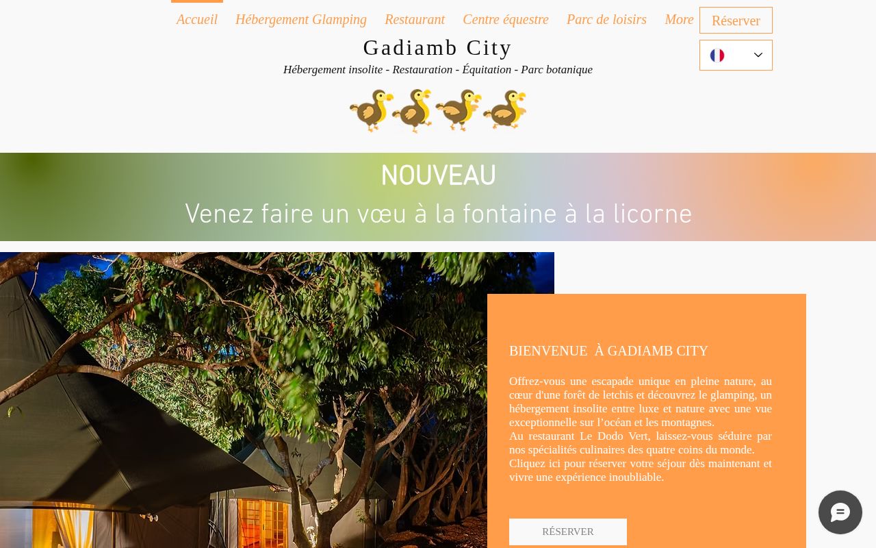 Capture de Gadiamb