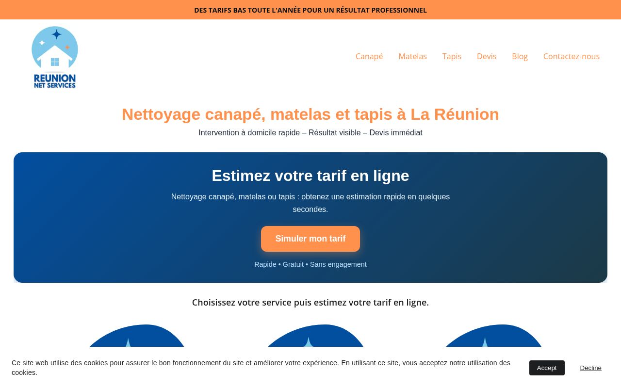 Capture de Réunion Net Services
